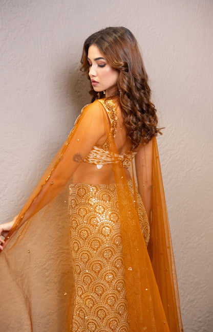 Kashish